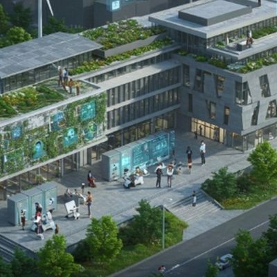 Designing Safer Public Entrances for High-Density Traffic