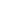 VELAXIZ Home Statistics
