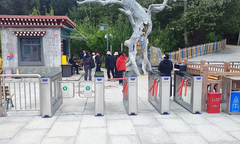 500强）国家级4A级景区【世界巨柏王】林芝巴结巨柏自然保护区 天狼03三辊闸雄狮03摆闸 3 scaled