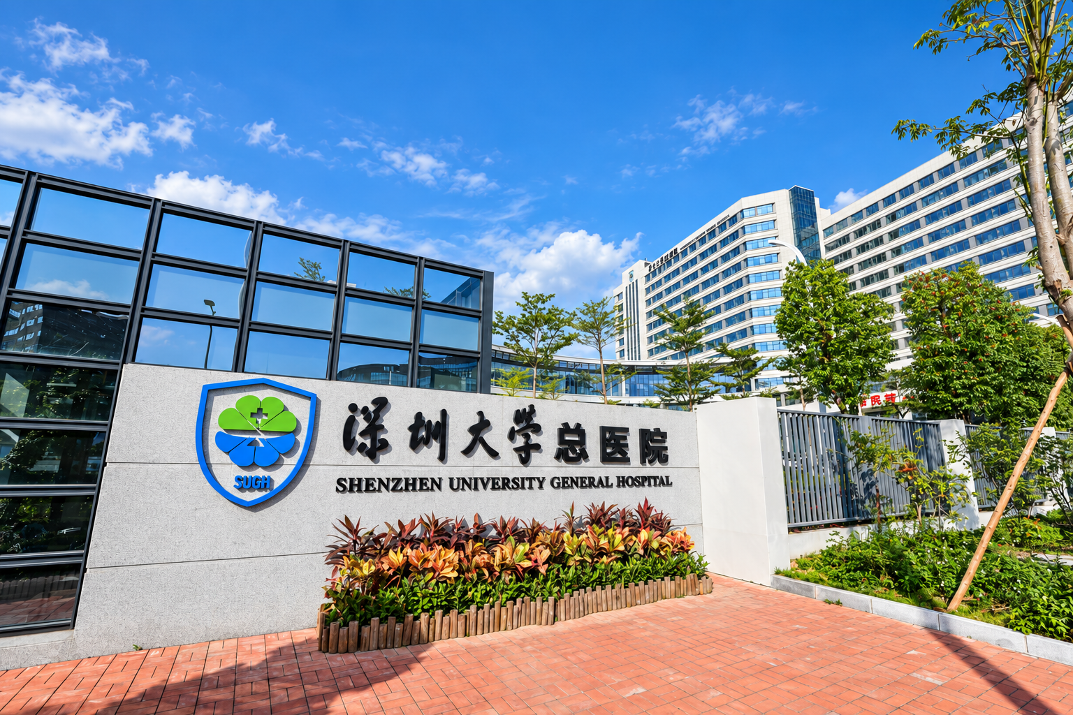Shenzhen University General Hospital